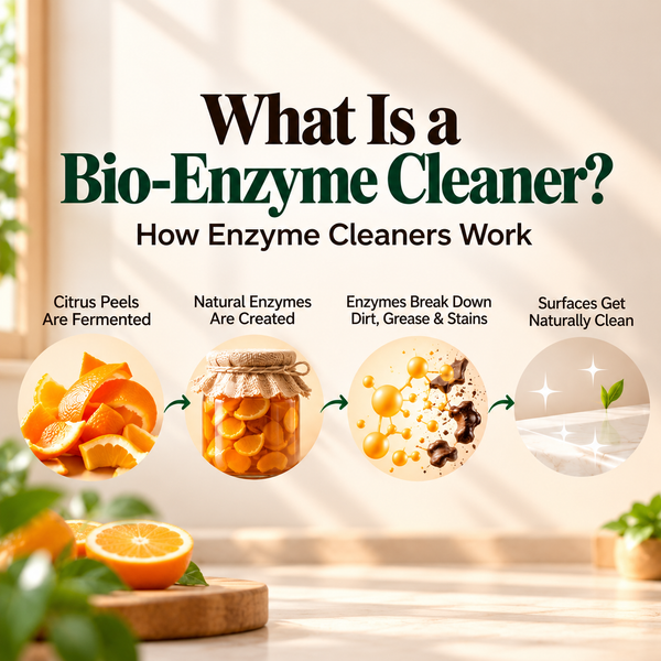 What Is a Bio-Enzyme Cleaner? How Enzyme Cleaners Work
