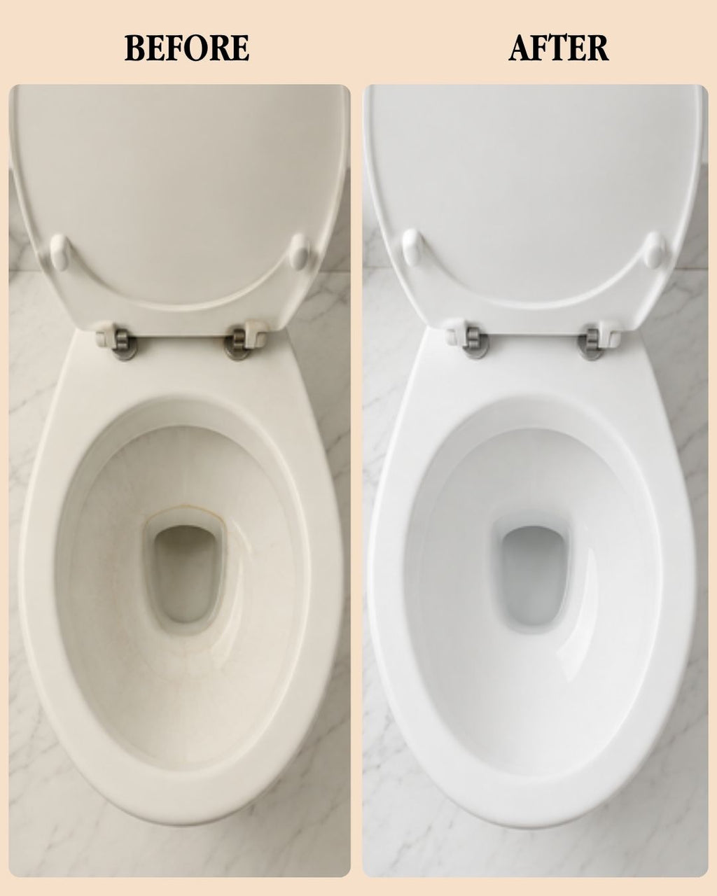Plant Based Toilet Cleaner