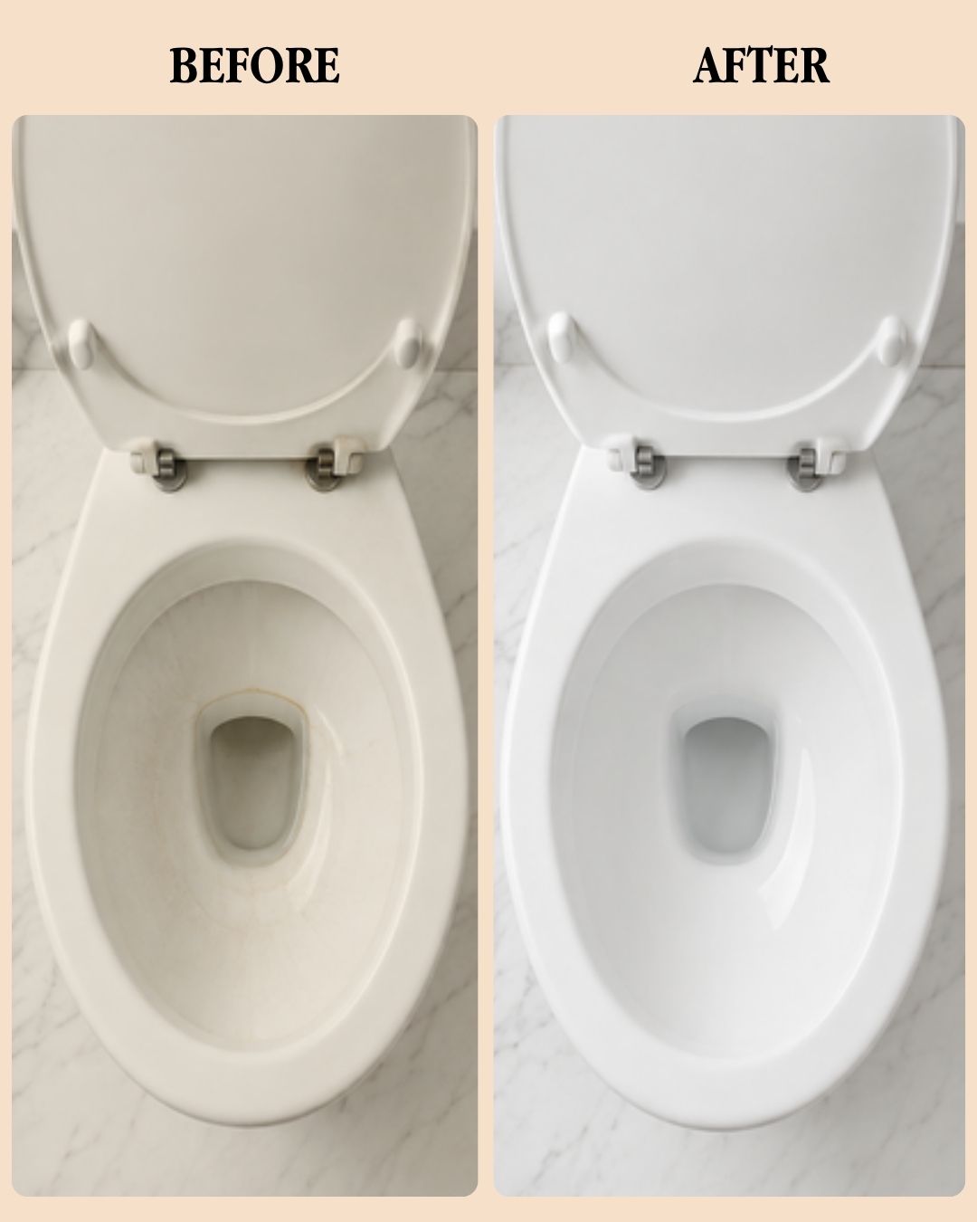 Plant Based Toilet Cleaner