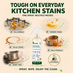 Glass & Multi - Surface Cleaner